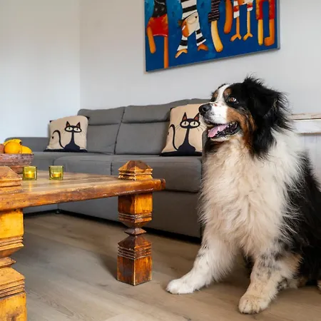 Casa Mimi Oasis Tamarindo 아파트 코라레호