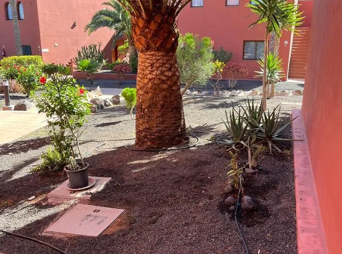 Casa Mimi Oasis Tamarindo Appartement