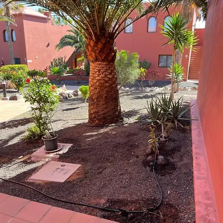 Casa Mimi Oasis Tamarindo Lägenhet