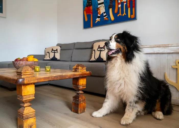 Casa Mimi Oasis Tamarindo شقة كوراليهو